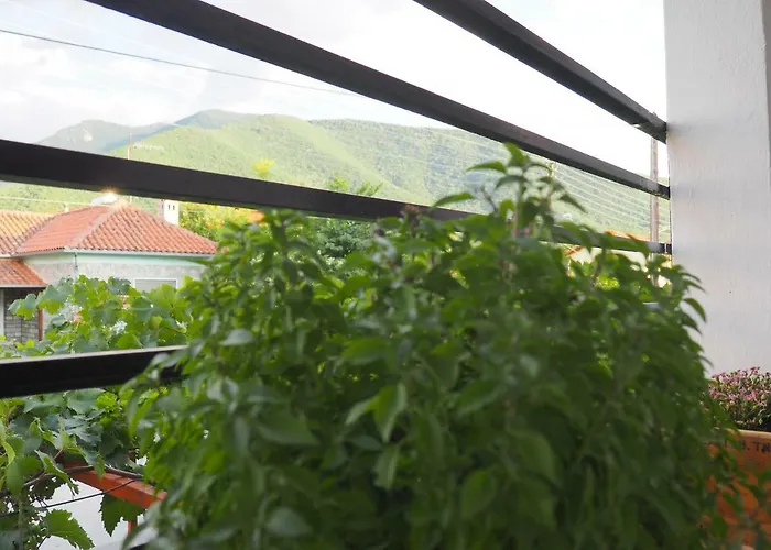 D-val Luxurious Apartament